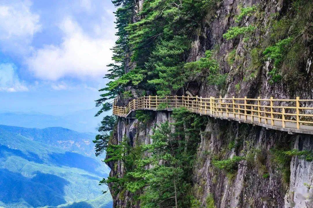 明月山三爪侖國家森林公園百丈山雷火塔雲谷飛瀑如果你不僅嚮往自然