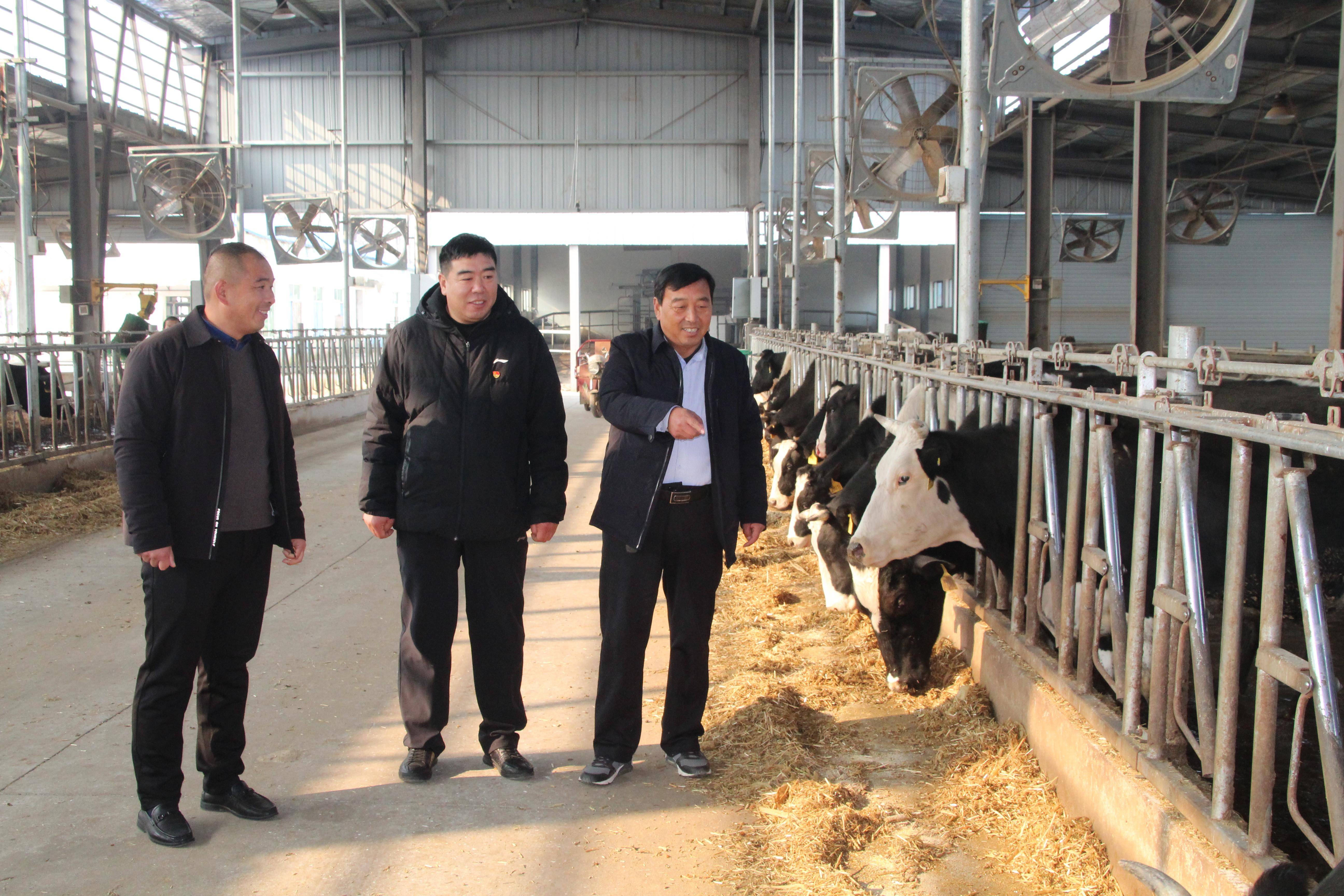 刘庄村党支部书记李强:让村子更美村民更富_养殖_村里_环境