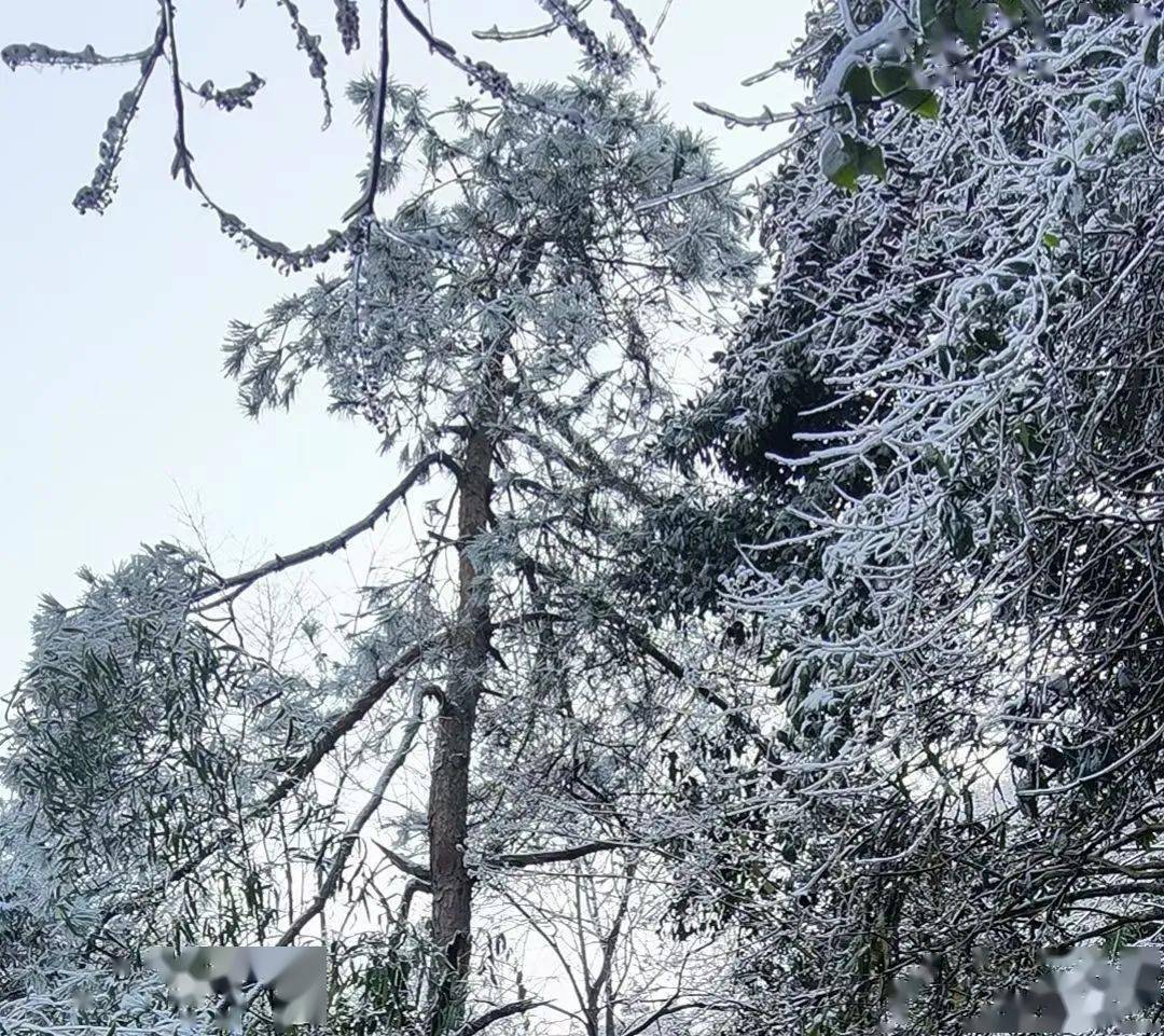 u遊常山 | 不是