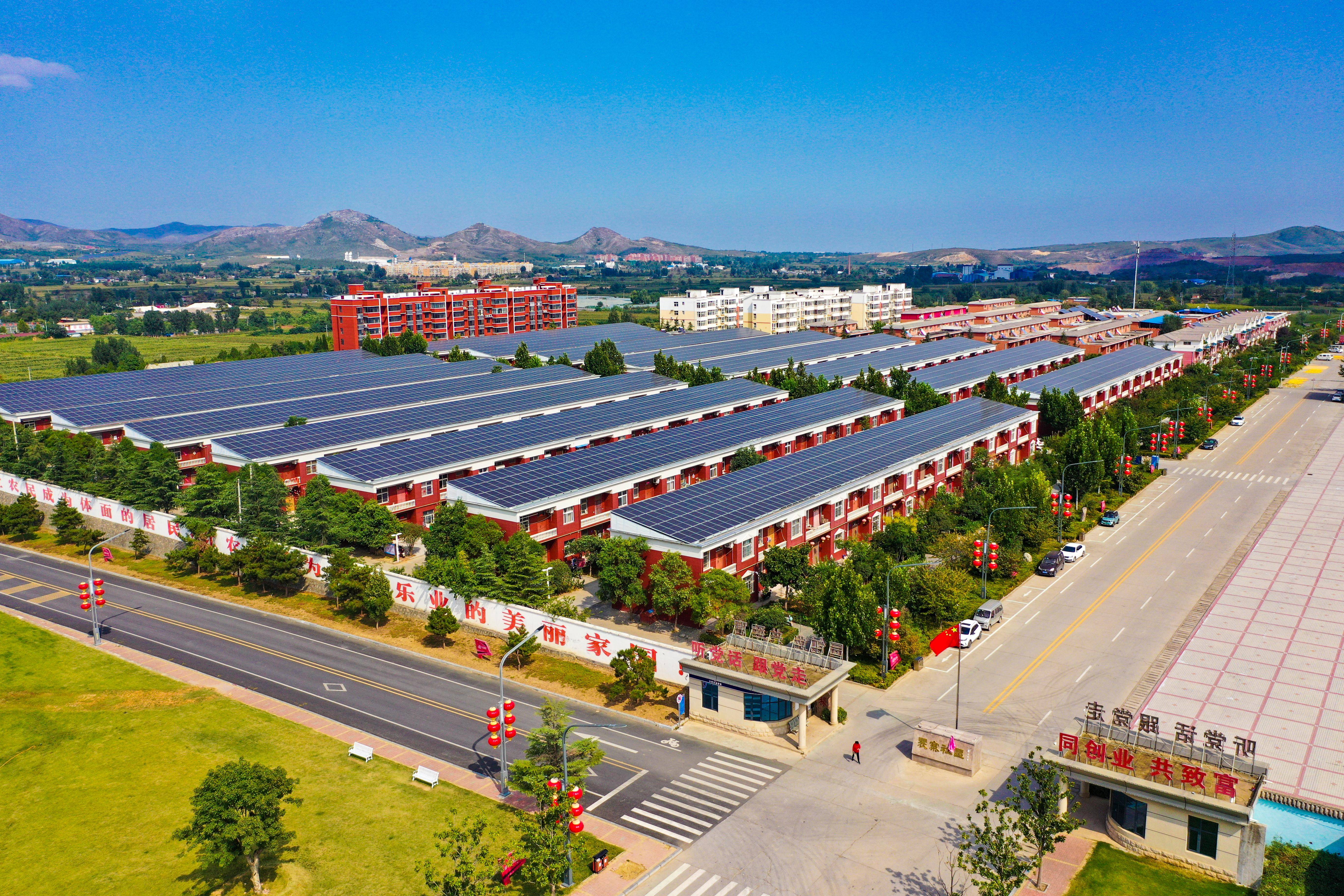 对标"千万工程",看"裴寨答卷"