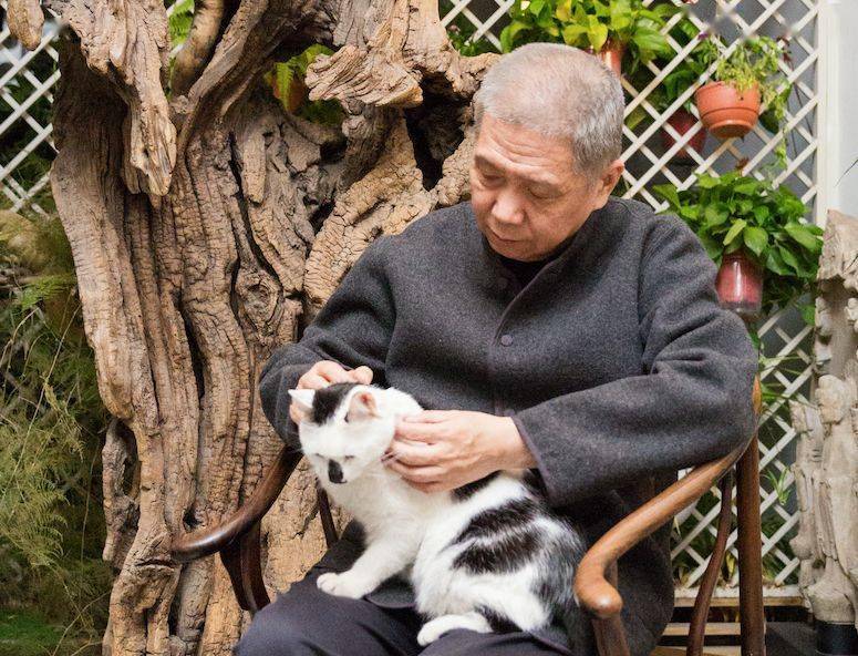 我们都是艺术家 | 一代猫奴马未都_观复博物馆_年代_中国