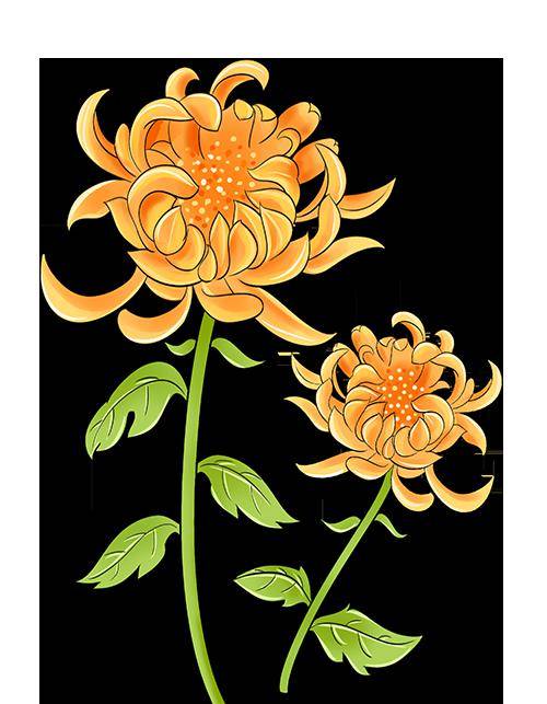 黑河市妇联开展"四心"走基层活动_小区_群众_妇女