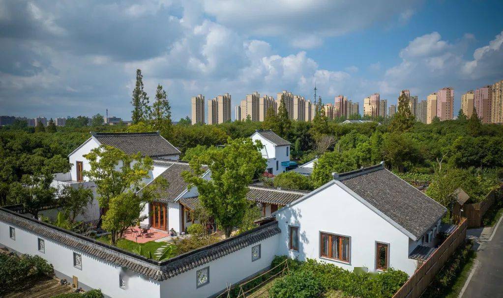 2023年上海市美丽乡村示范村区乡镇村浦东新区合庆镇朝阳村老港镇建港