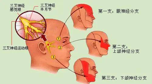 【善·科普】如何預防