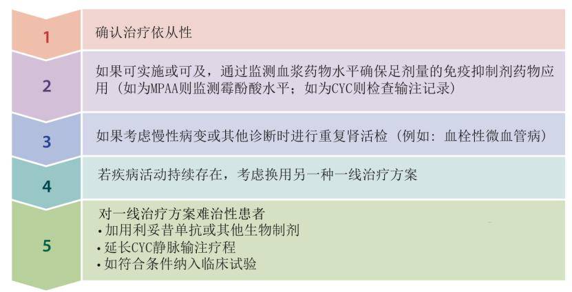 2024 kdigo 狼瘡腎炎管理臨床實踐指南發佈!_治療_患者_相關