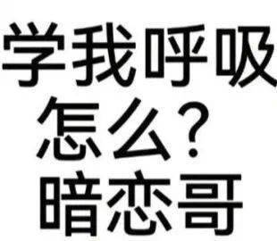 聊天實用表情包:謝謝老闆0.01大紅包_生活_熊貓頭_公眾