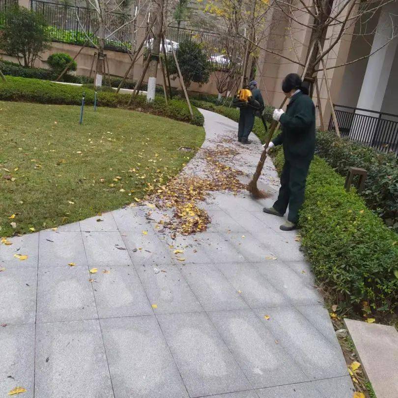 增設遮雨棚排水溝清掏高杆燈維修消火栓刷漆煥新屋面消防管刷漆煥新