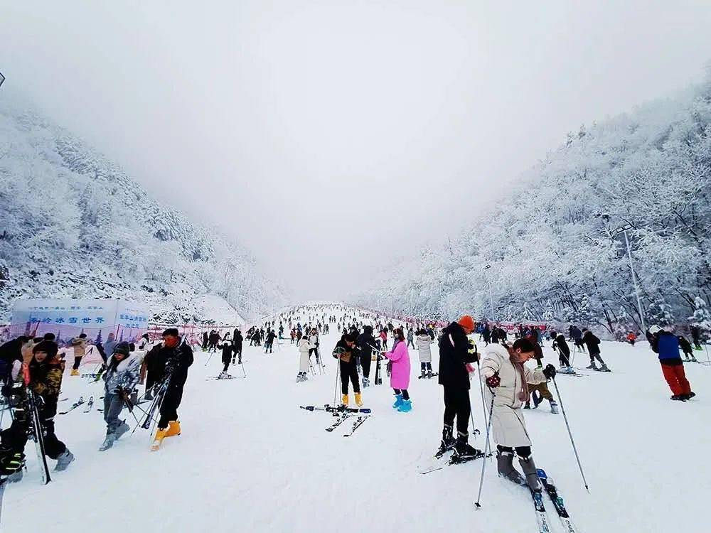 4a級旅遊區—翠華山國家地質公園內家門口的高山滑雪世界掃碼搶購09