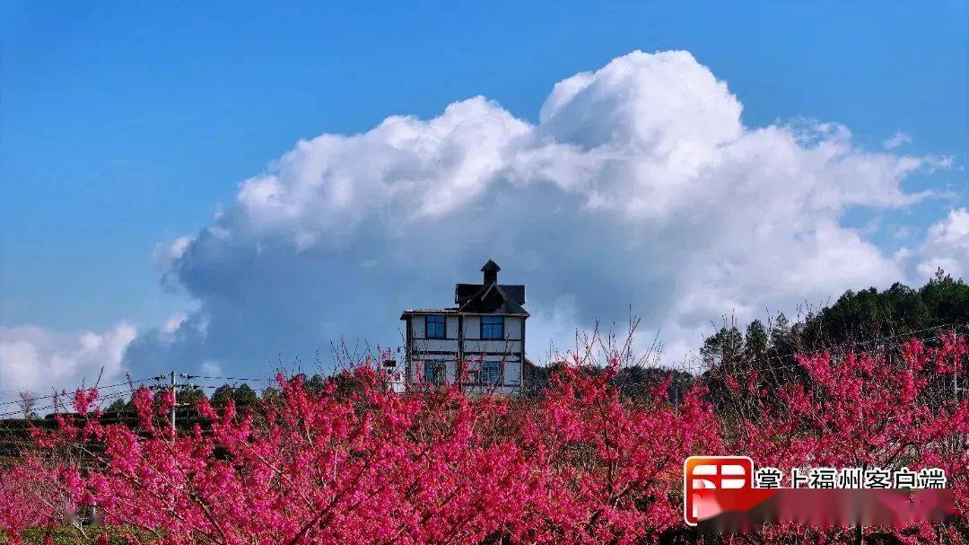 好多福州人要去!_活動_侯官_美食