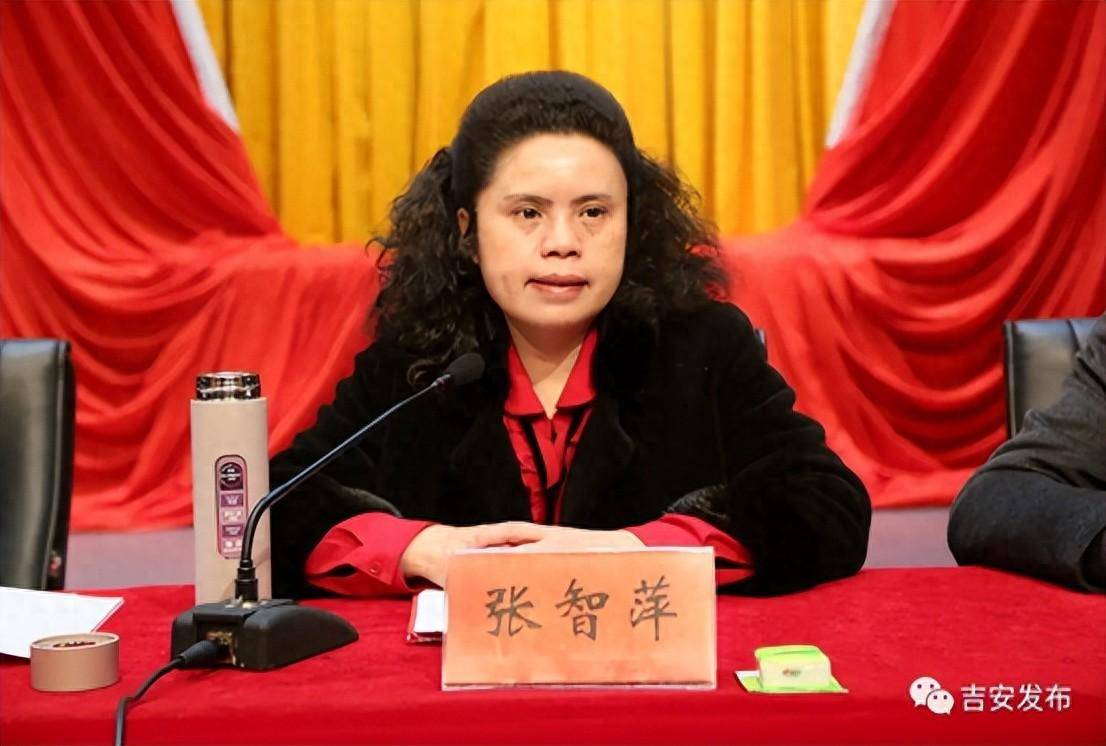 "全国优秀县委书记"张智萍,新职明确_新余_工作_中共江西省委