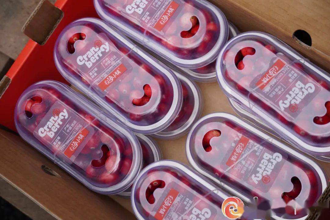 越南春卷,冬阴功汤,椰浆饭东盟十国美食齐聚南宁山旮旯baby名媛卡翠花