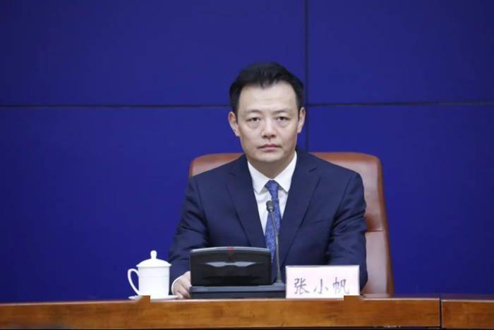 "80后"张小帆,已任济南市正局级领导职务_发展_起步区_改革