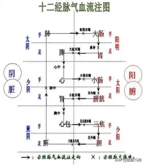 气脉走向图图片