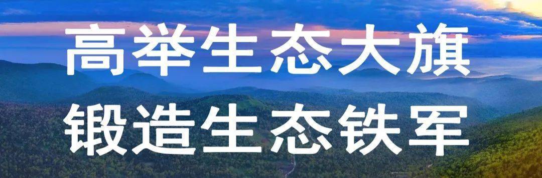 近日,龍江森工集團制定下發《中國龍江森林工業集團有限公司