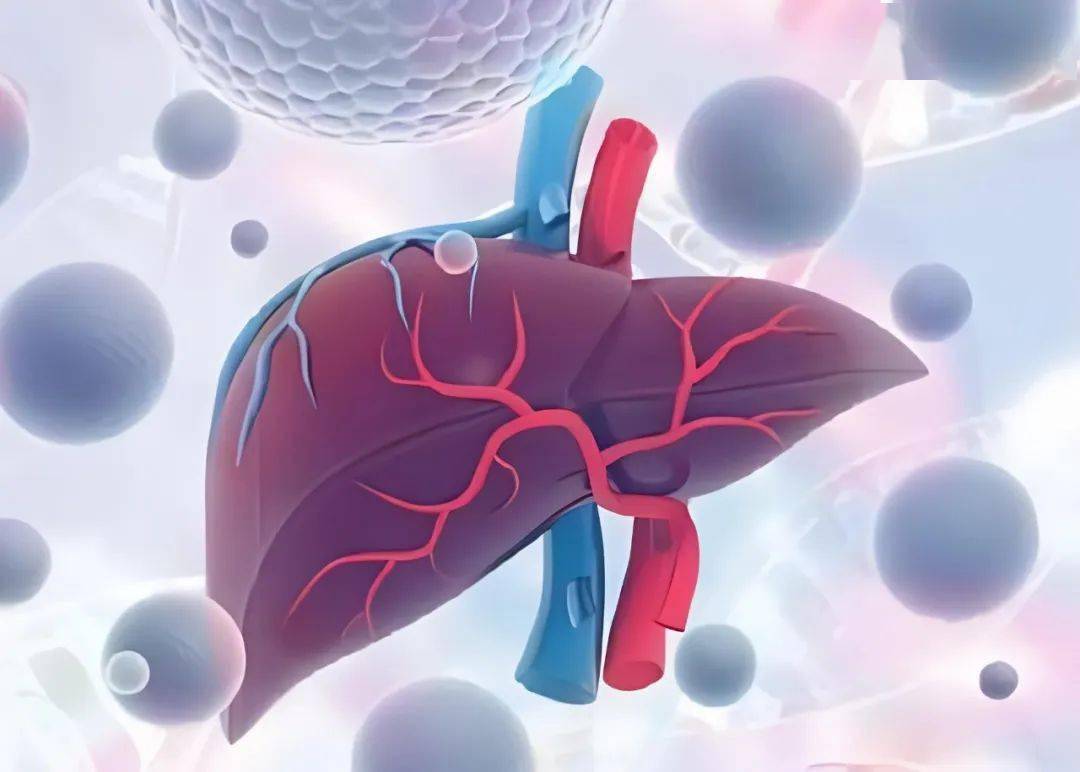 北京大学张宏权团队:发现抗肝癌药物治疗新靶点_and_研究_基因