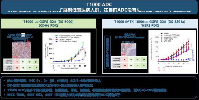 衛材阿爾茨海默病新藥國內獲批上市;禮來偏頭痛新藥國內獲批;信達減重