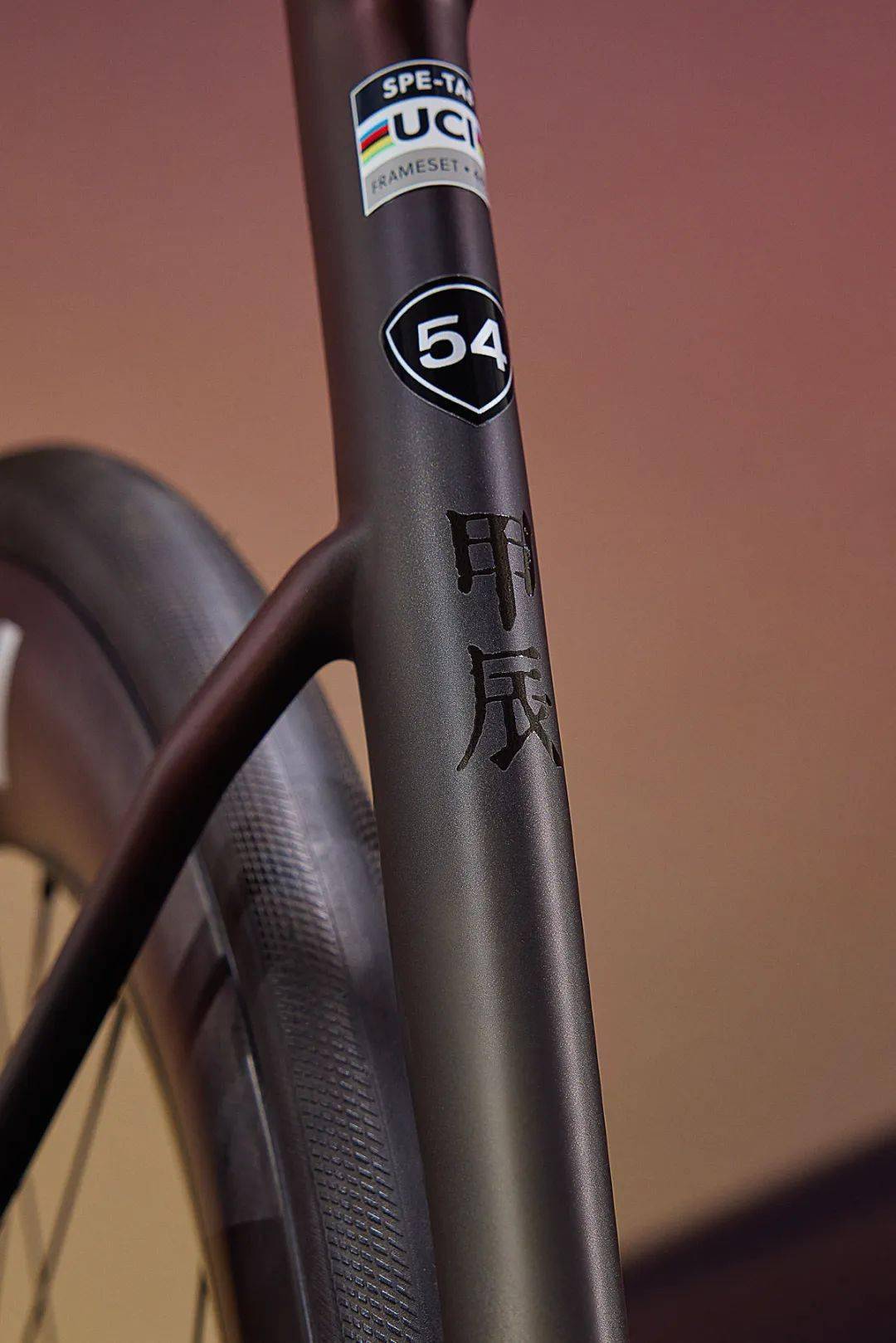 龙舞春潮吟岁至 specialized甲辰·龙吟限量版tarmac sl8发布
