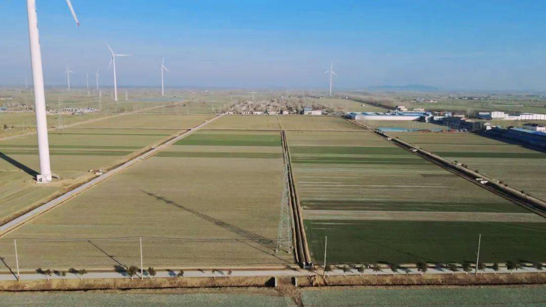 邳州村(社区)书记大擂台_庄村_收入_土地