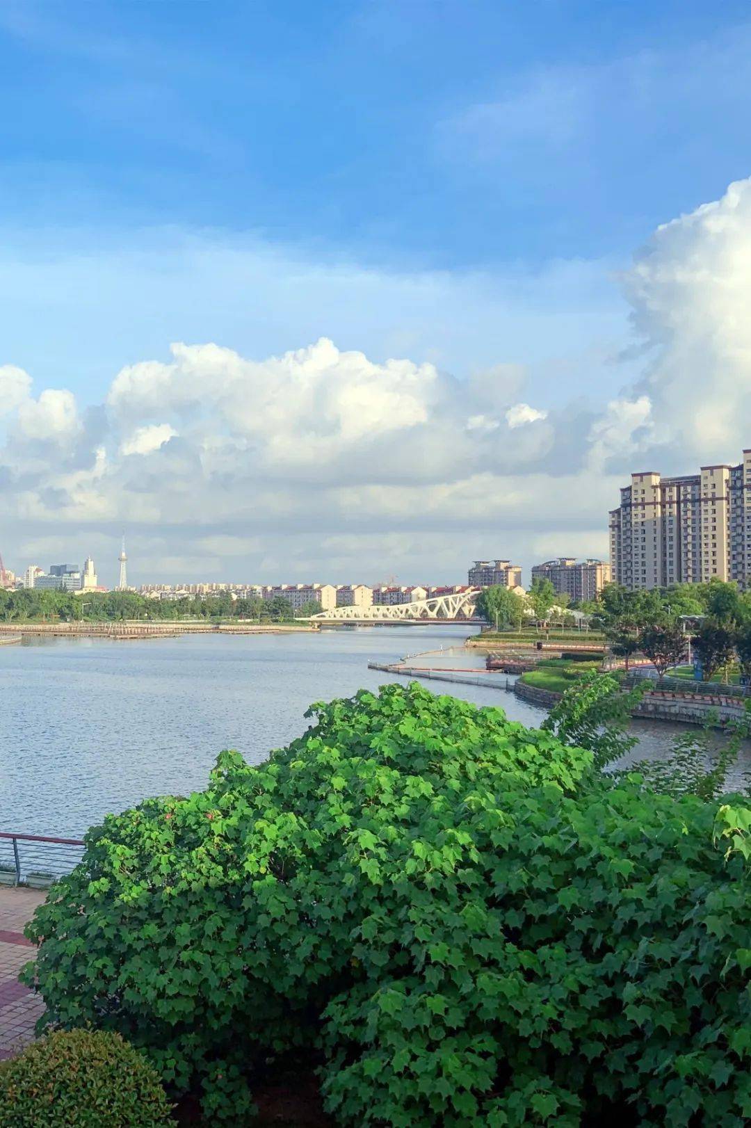 青浦新城面积最大的公园,好逛!_环城_水系_广场