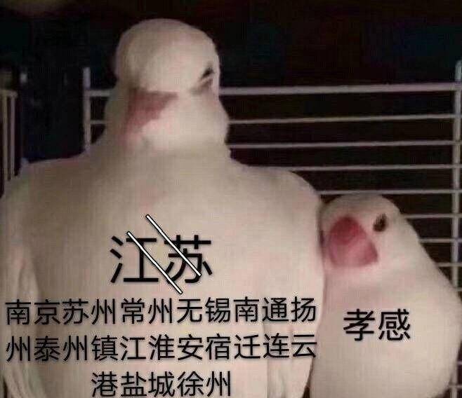 散装江苏的江湖往事_苏大强_南京_淮安