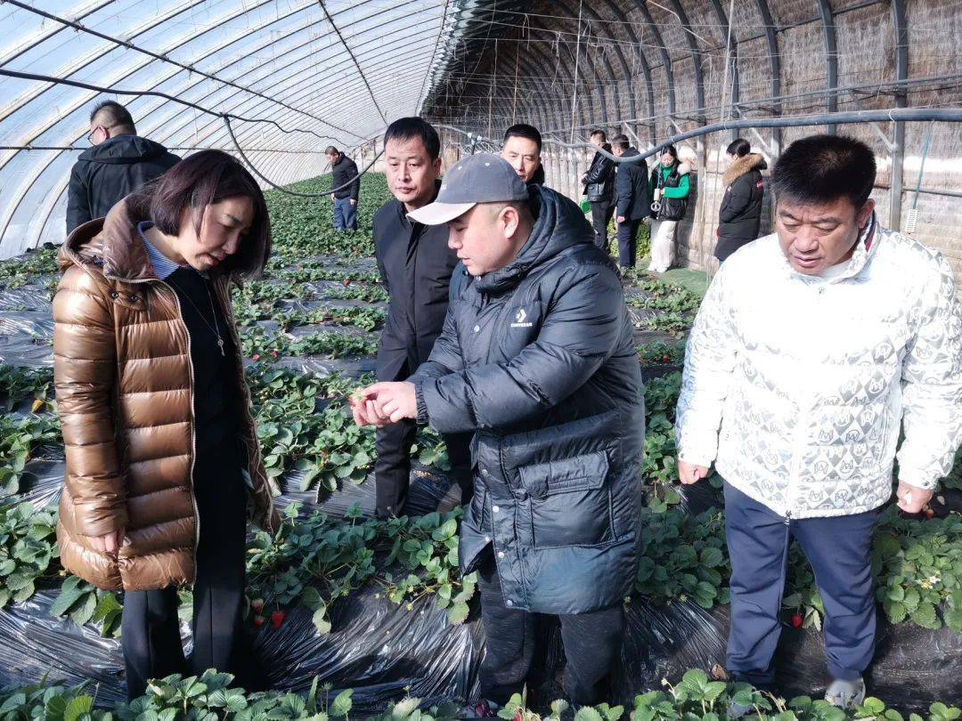 致公党辽阳市委会组织市政协致公界别组到辽阳县刘二堡镇前杜村开展