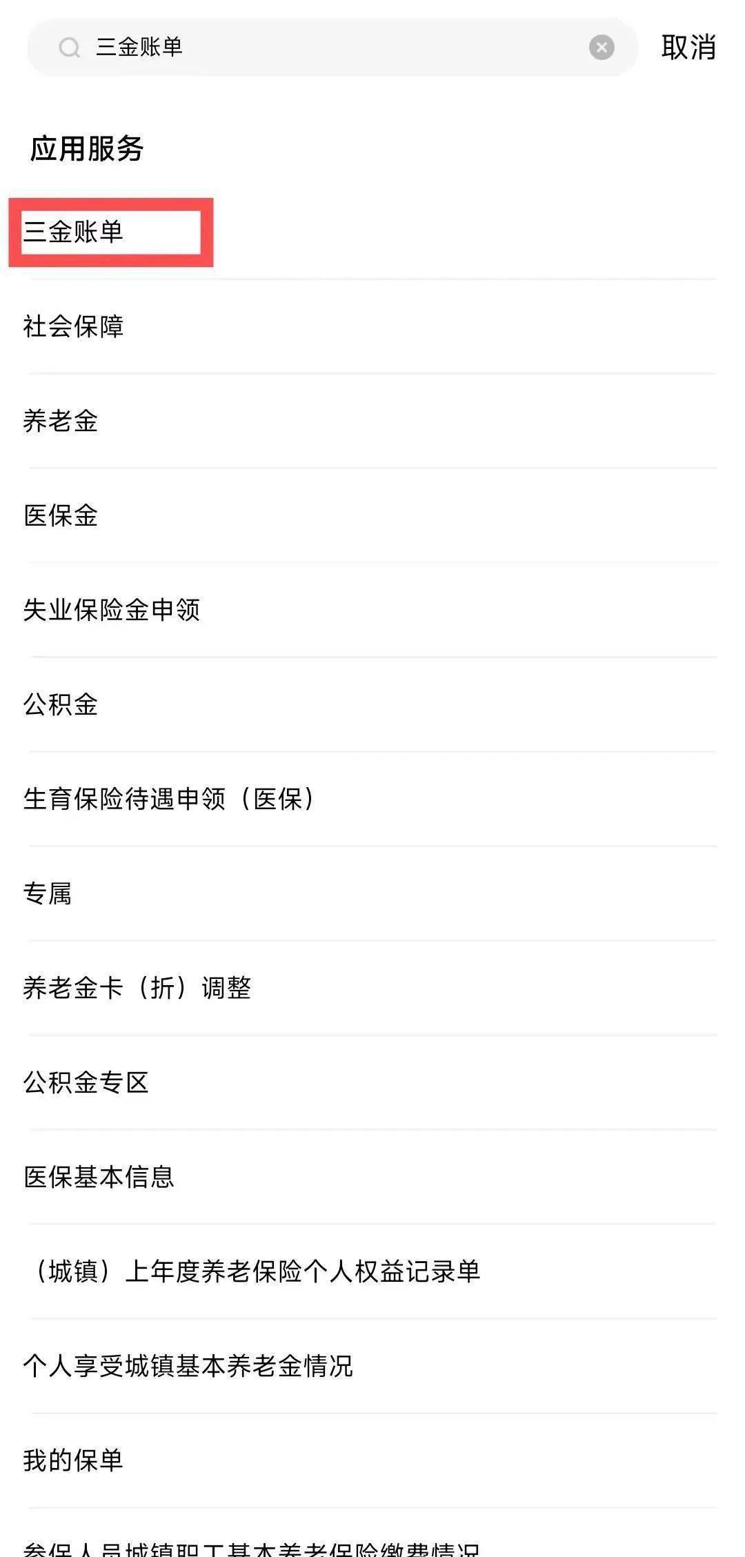 因账号注册情况无法提供服务养老保险信息