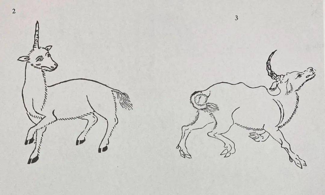 青牛精(也称"独角兕大王"),为什么电视剧版有两个角,动画版却只有一个