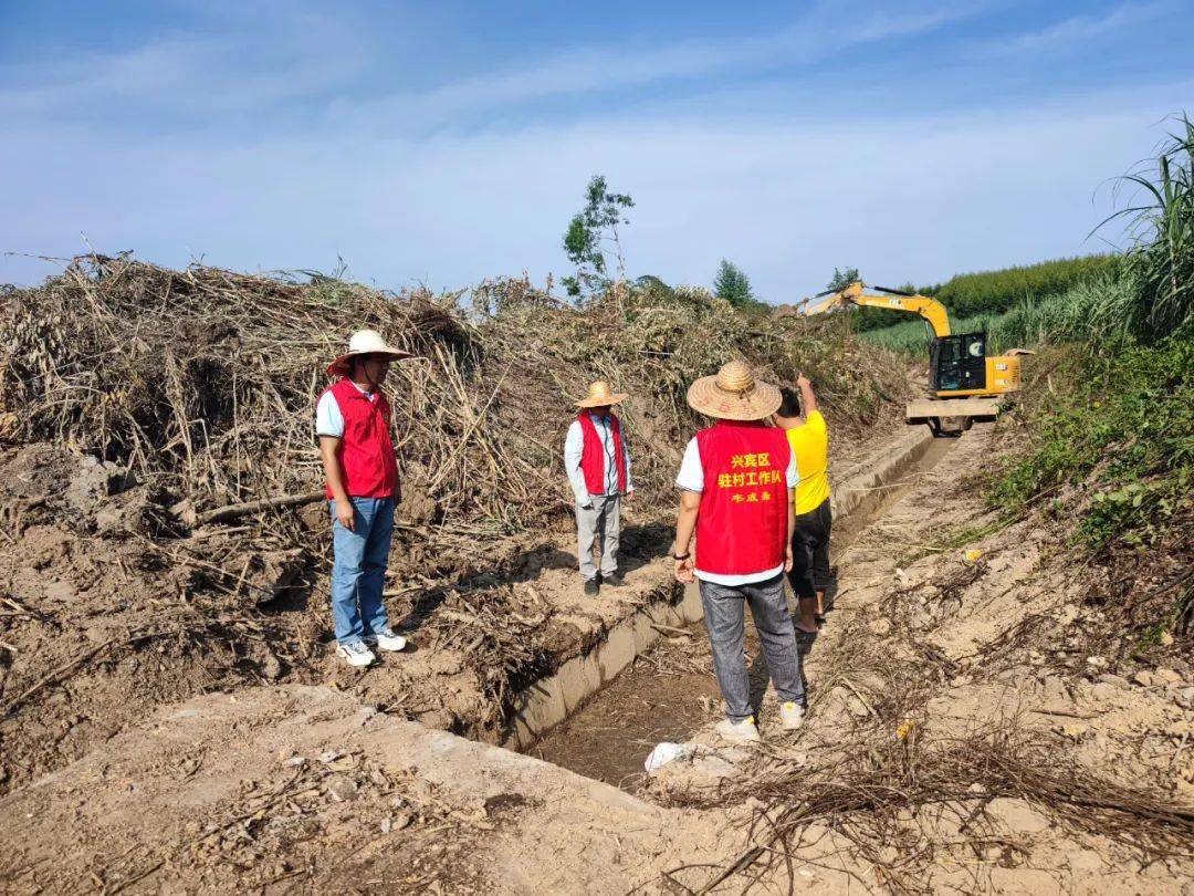 兴宾区驻村工作队:握好驻村"接力棒" 跑出乡村振兴新篇章