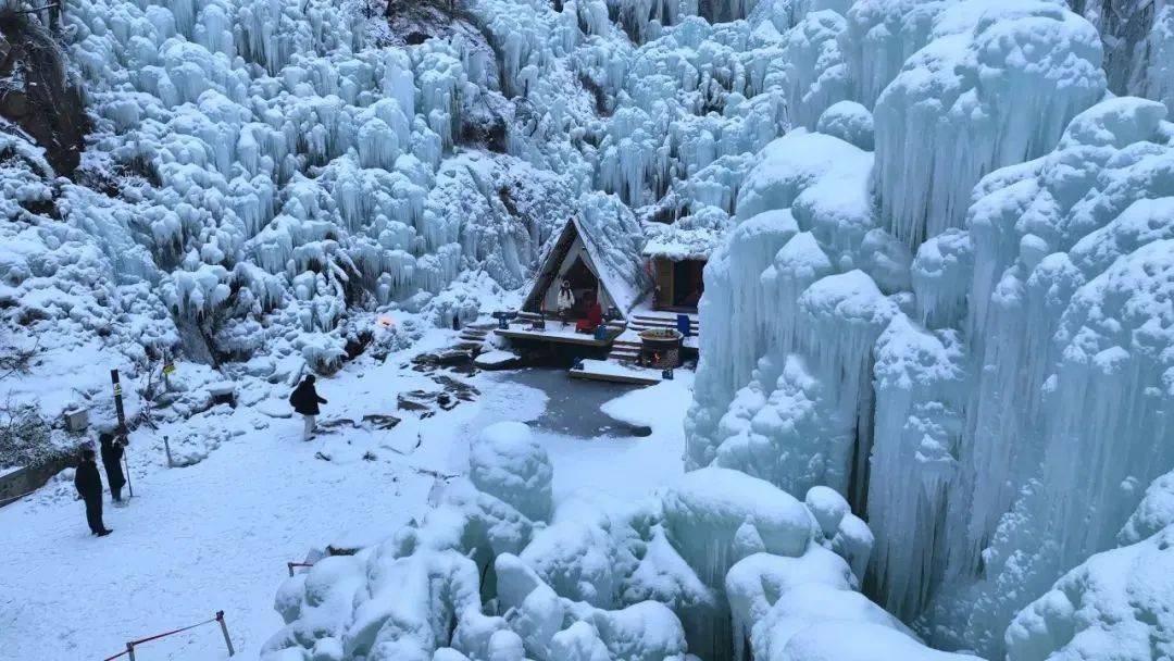 錦繡中華 | 2024年第一場雪抵達山東,美!_雪花_銀裝