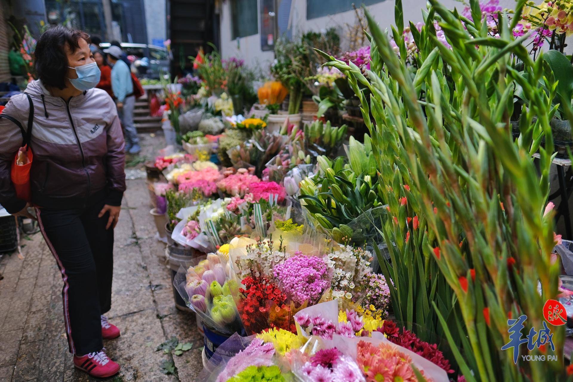 秋明拍花|漫步小巷,遇见"花姐"_广州_街坊_斤半