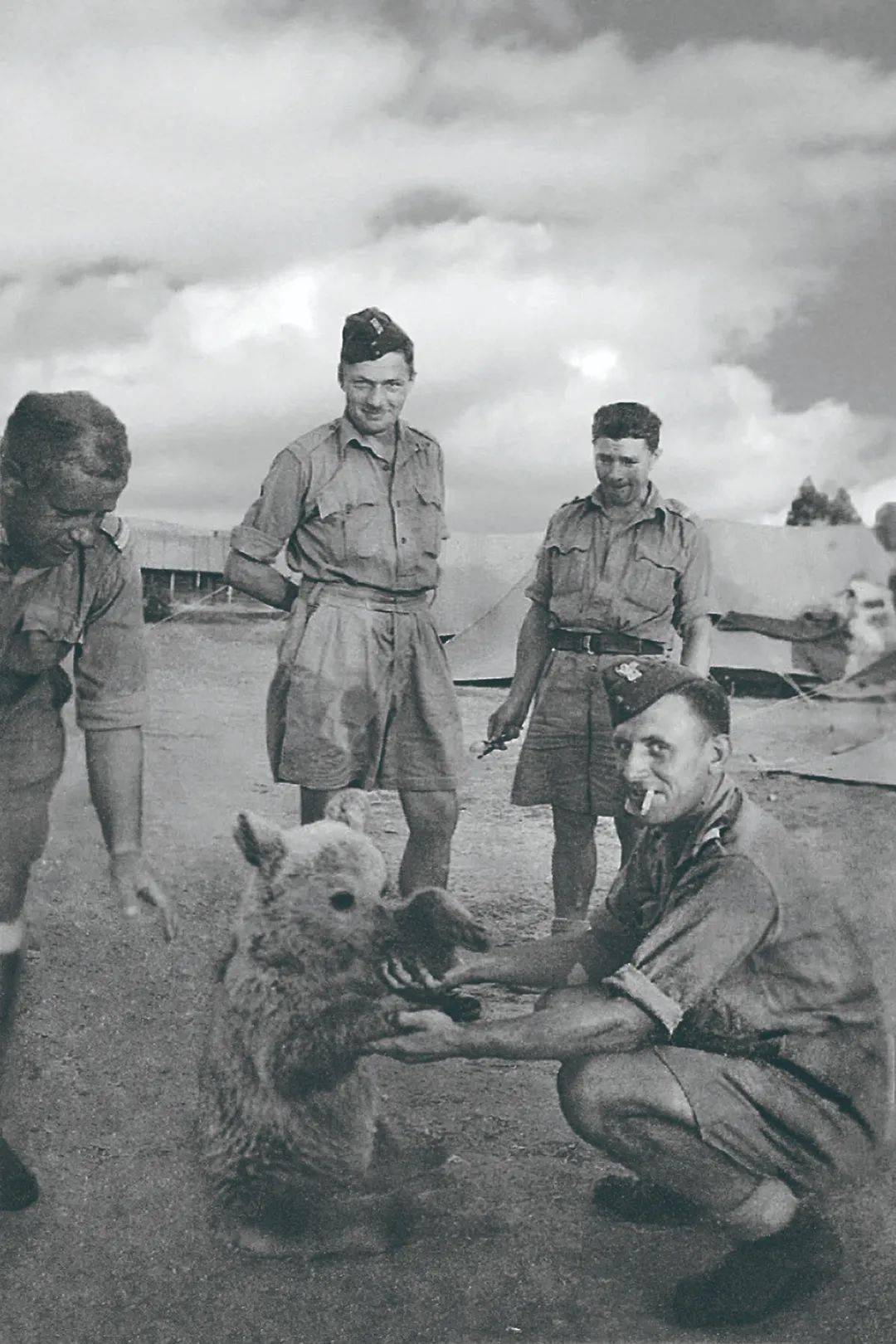 二战棕熊沃铁图片