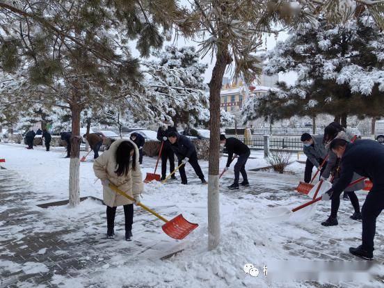 环保行动扫雪图片