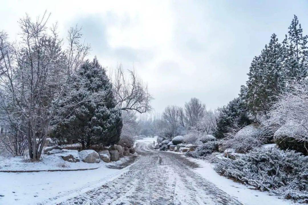 银川贺兰山雪景图片