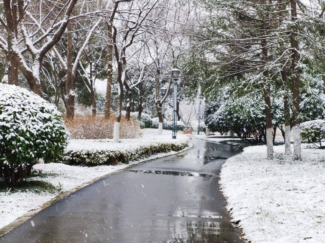 宿迁下雪图片