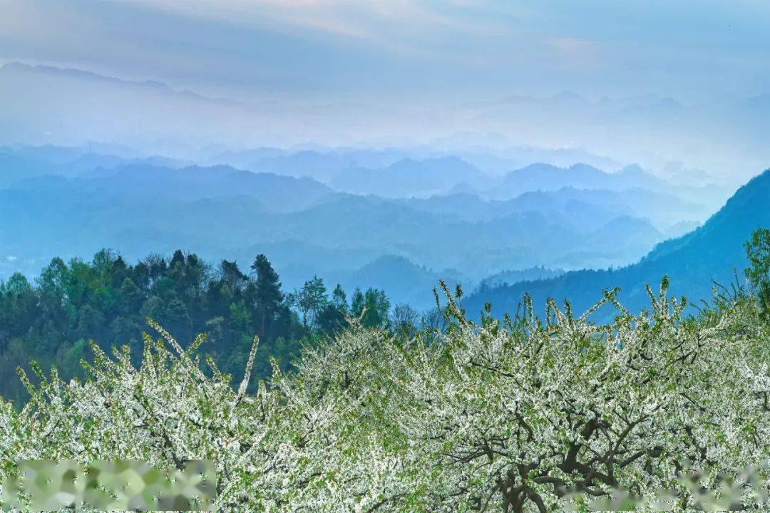 大邑這個村,被命名為