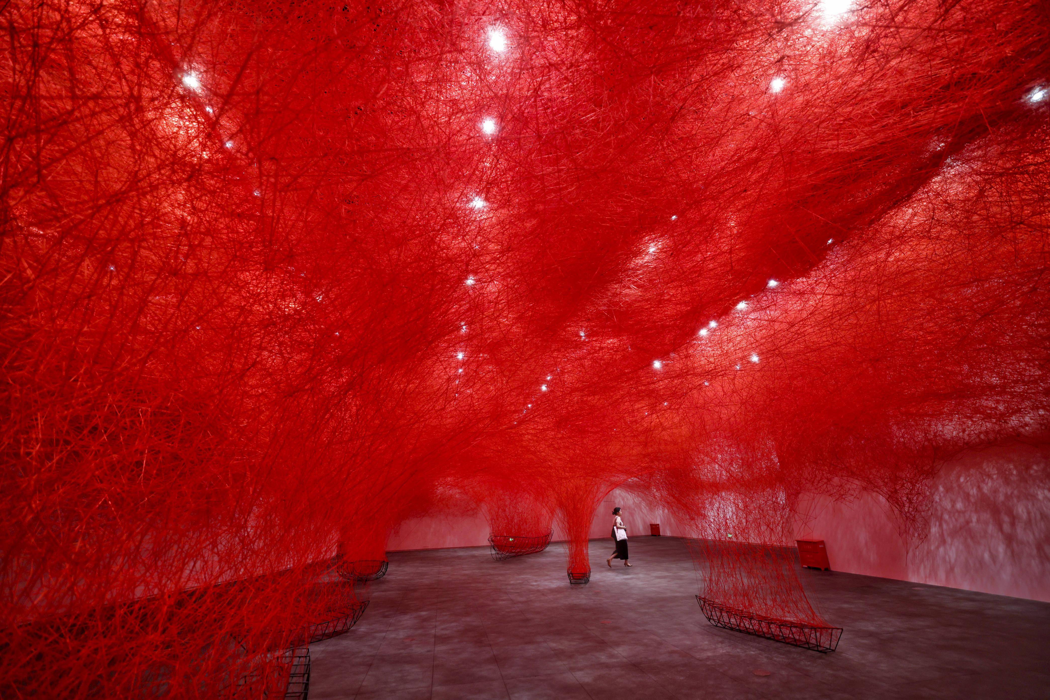 "高品质艺术展变多了",深圳新重大文化设施受热捧 | 细说深圳⑧_展览