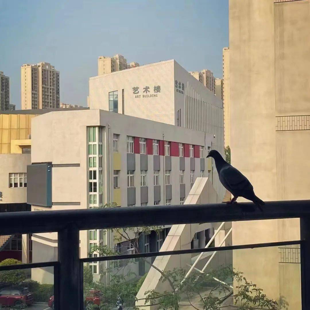 我和我的艺校|云程发轫,行远自迩,我在浙江音乐学院等你_青岛_母校