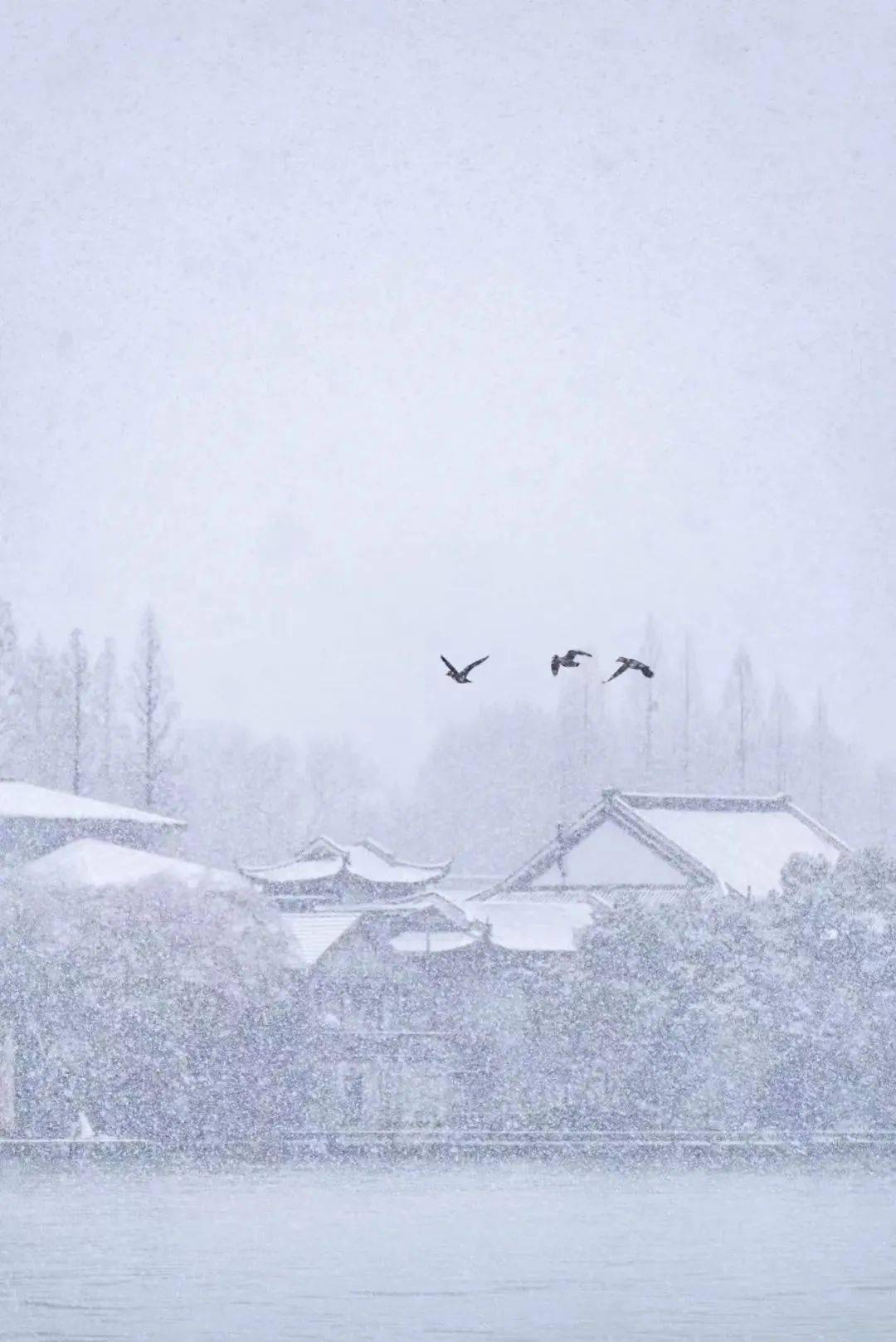 最韵味的雪,还得看南方_冰雪_雪景_雪花