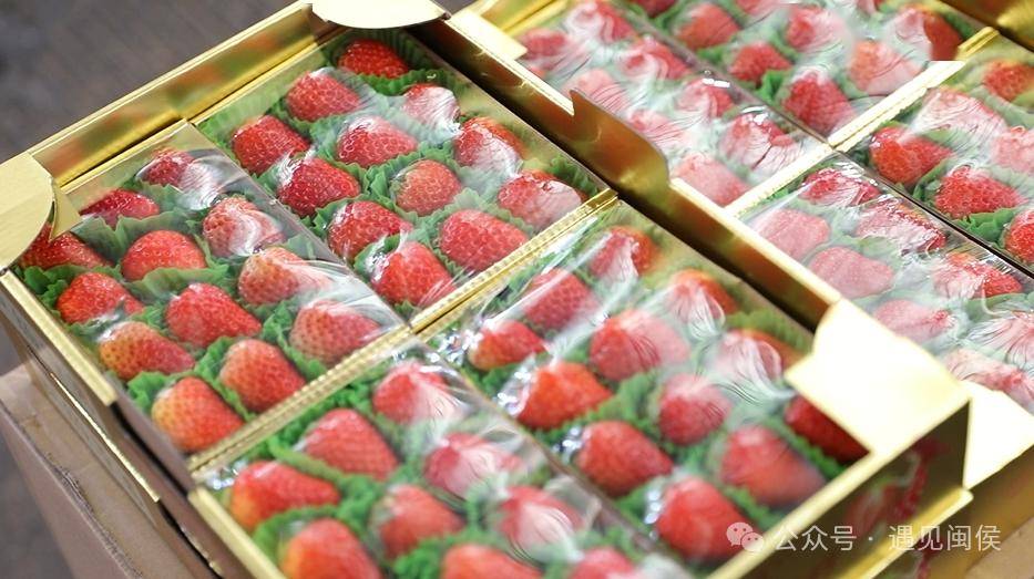 王嘉尔大草莓来源图片