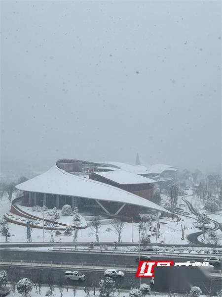 橘子洲雪景图片