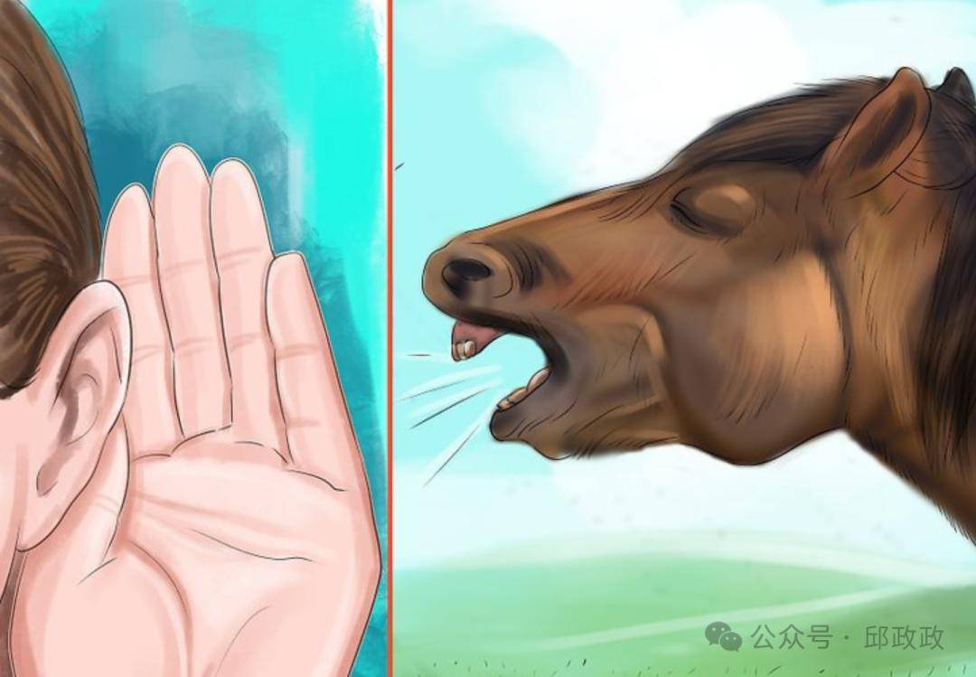 "a horse laugh"是"马笑了"?_意思_your_told