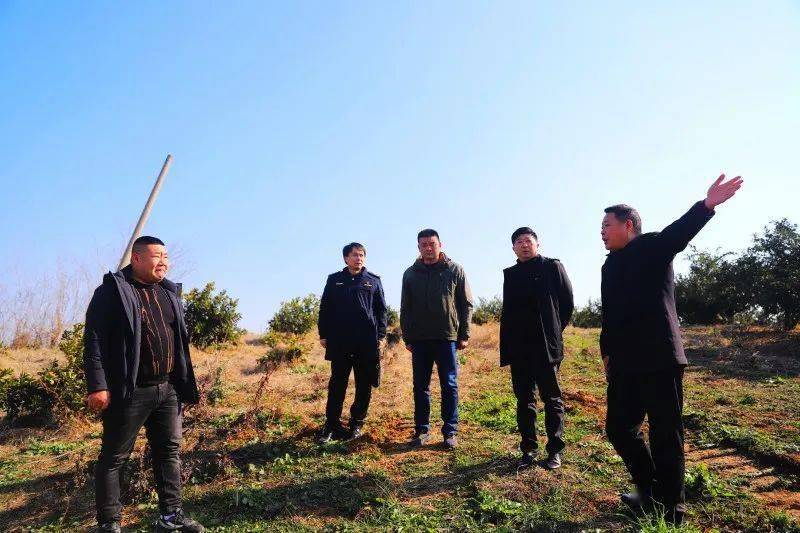 蓝劲松调研丹江口库区水质保护与"两山"实践工作_生态_碧水