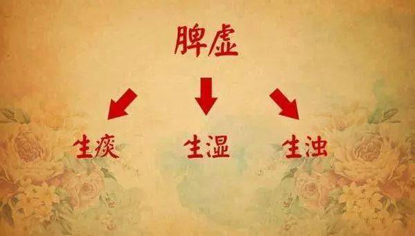 痰湿是什么意思 来自搜狐网