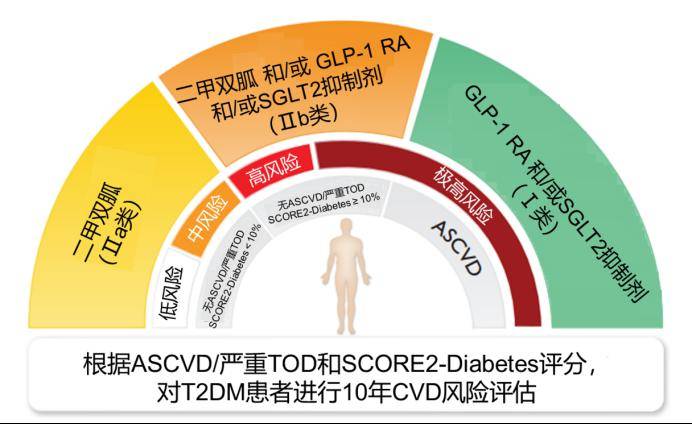 2023 esc 最新糖尿病患者心血管疾病管理指南更新要點