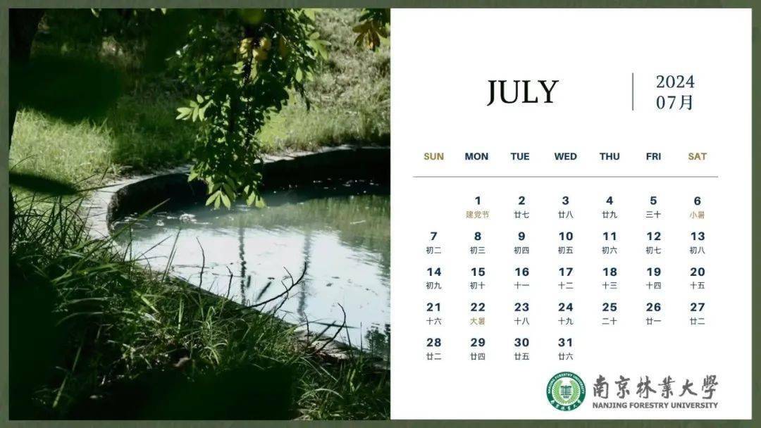 2024南京林业大学风景日历上新啦!_校园_大道_时节