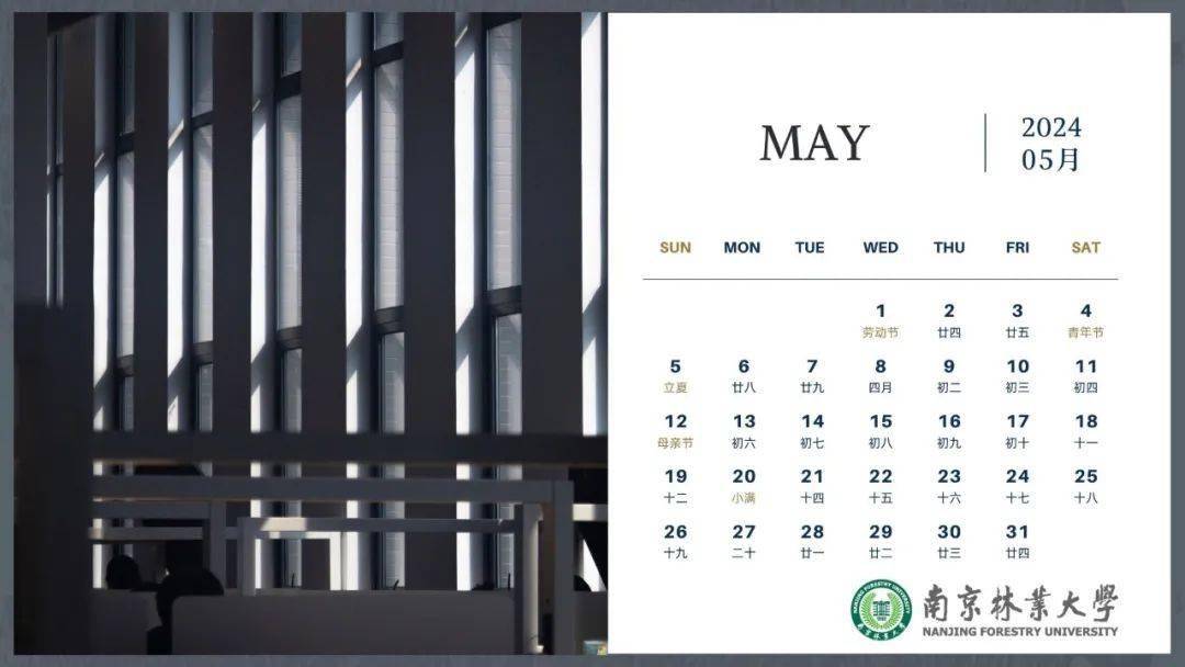 2024南京林业大学风景日历上新啦!_校园_大道_时节