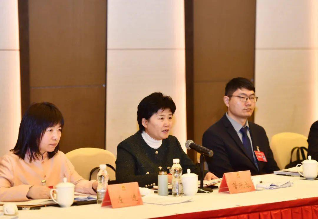 顾正中,吴旭峰,吴佩坤,李宁,管晓蓉,杨颖,左进,刘卉,印传磊等代表分别