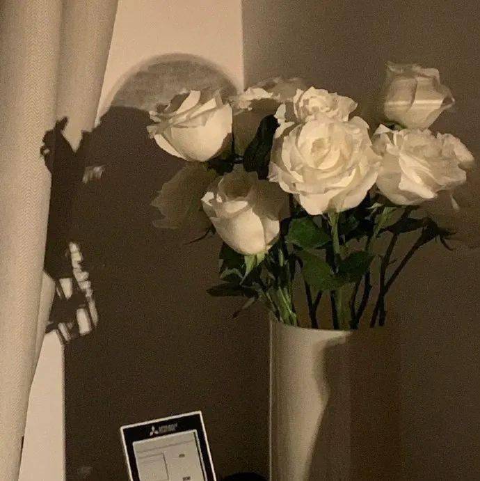 小众背景图 | 喜欢的背景图!_阳光