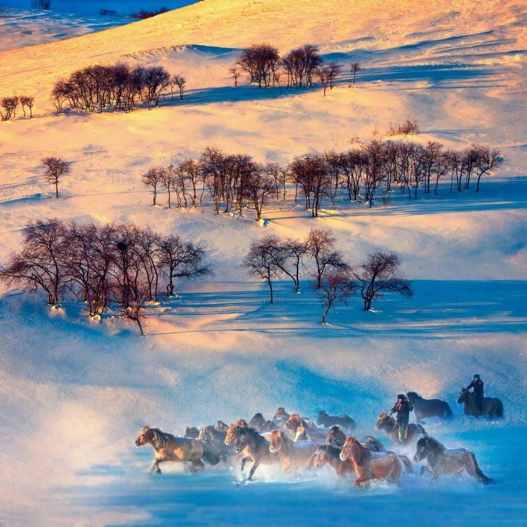 遇见·冬 | 用镜头记录风雪中的开路先锋!