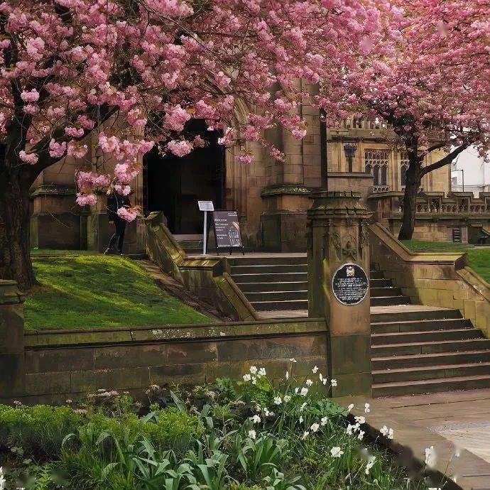 背景 | 超好看超有氛围的背景图